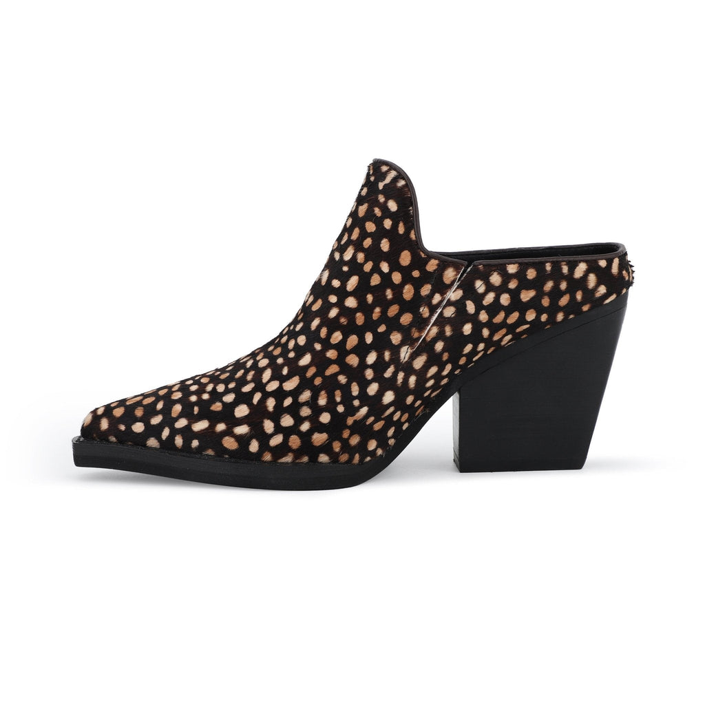 DANTE - SPOTTED BROWN