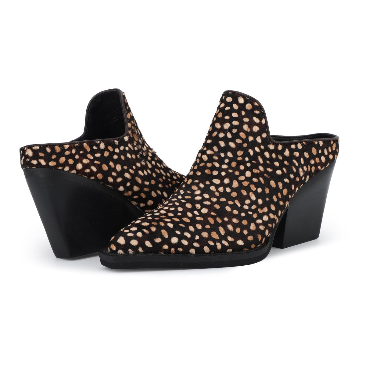 DANTE - SPOTTED BROWN