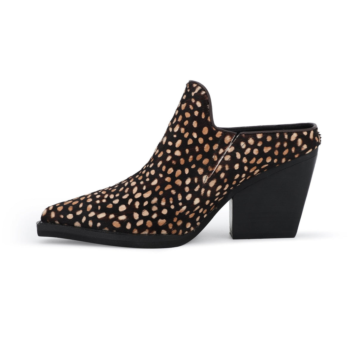 DANTE - SPOTTED BROWN