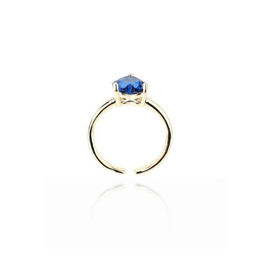 PAULA RING